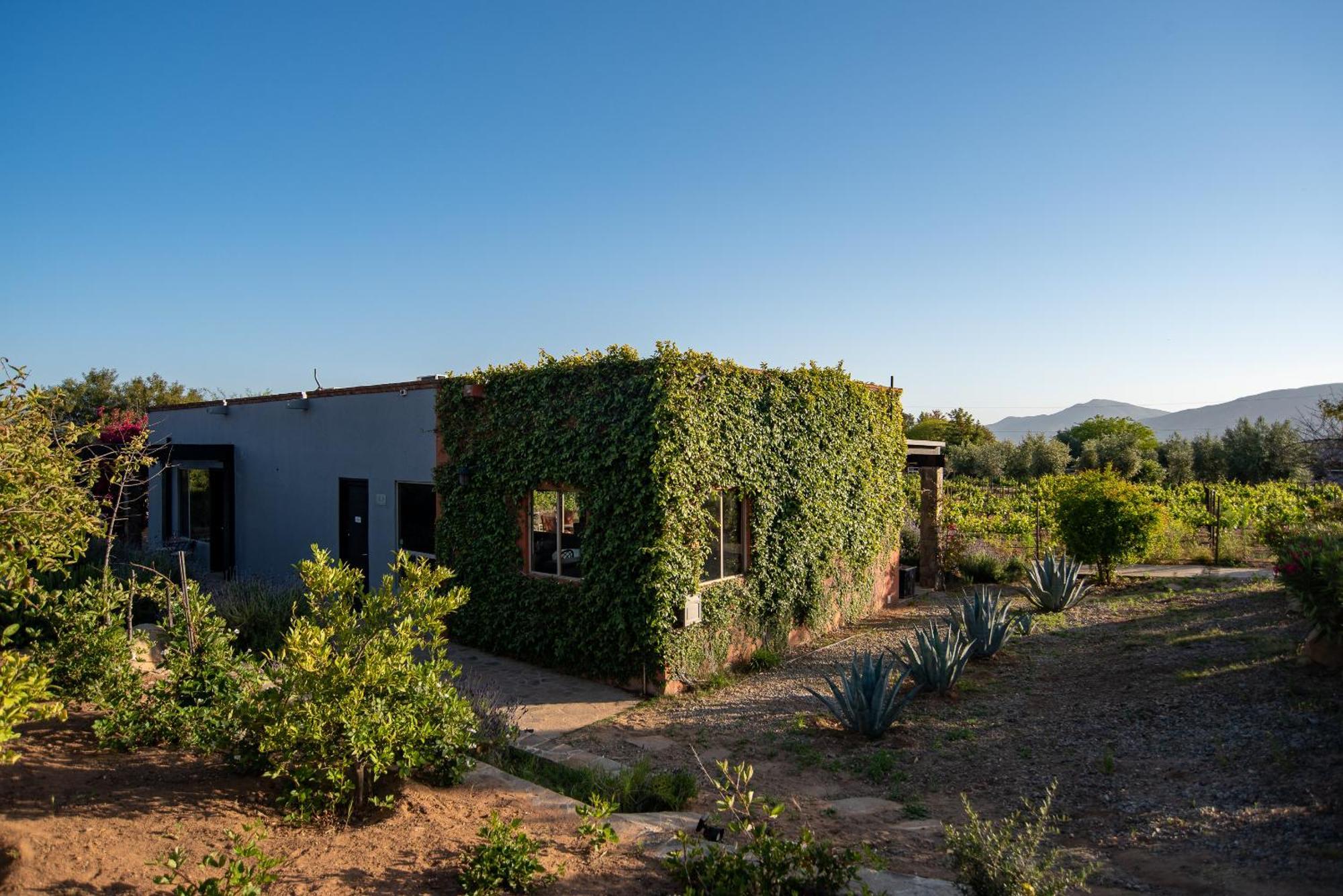 Hotel Atika Retreat Valle de Guadalupe Exterior foto